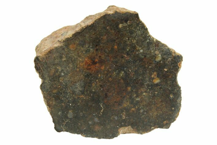 Polished Howardite Meteorite Section ( g) - Bechar #286963